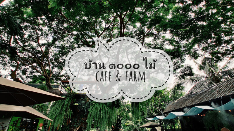 บ้าน ๑๐๐๐ ไม้ cafe’ & farm มากกว่าร้านกาแฟ แต่แฝงด้วยมุมเรียนรู้วิถีเกษตร