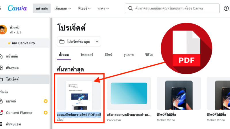 แก้ไขไฟล์ PDF ใน Canva ฟรี แนะนำวิธีใช้แสนง่าย ไม่ต้องลงโปรแกรมเพิ่ม